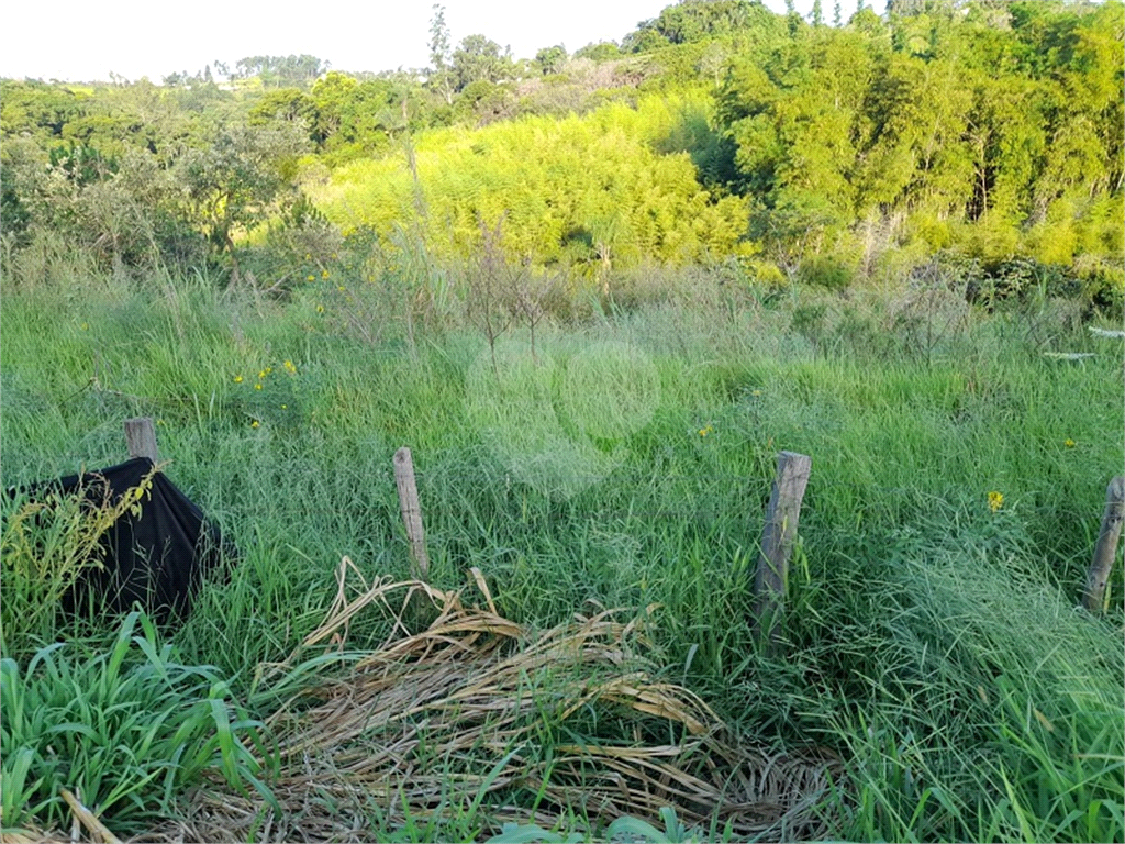 Terreno à venda, 29200m² - Foto 8