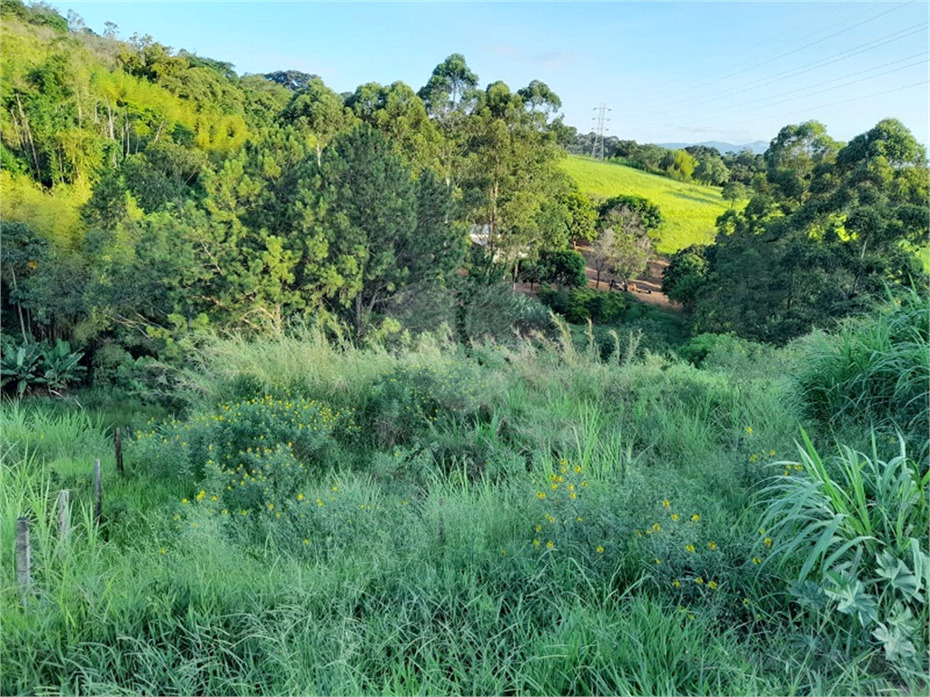 Terreno à venda, 29200m² - Foto 6