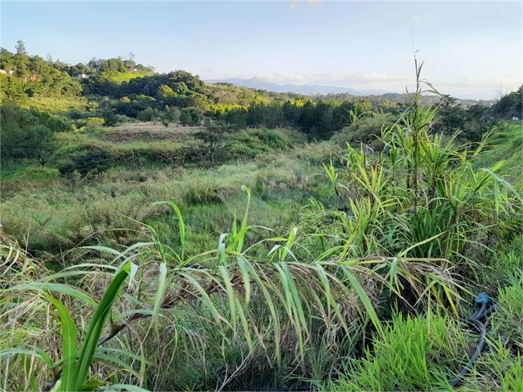 Terreno à venda, 29200m² - Foto 5