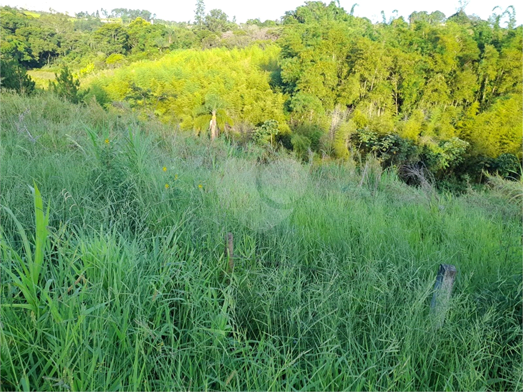 Terreno à venda, 29200m² - Foto 9