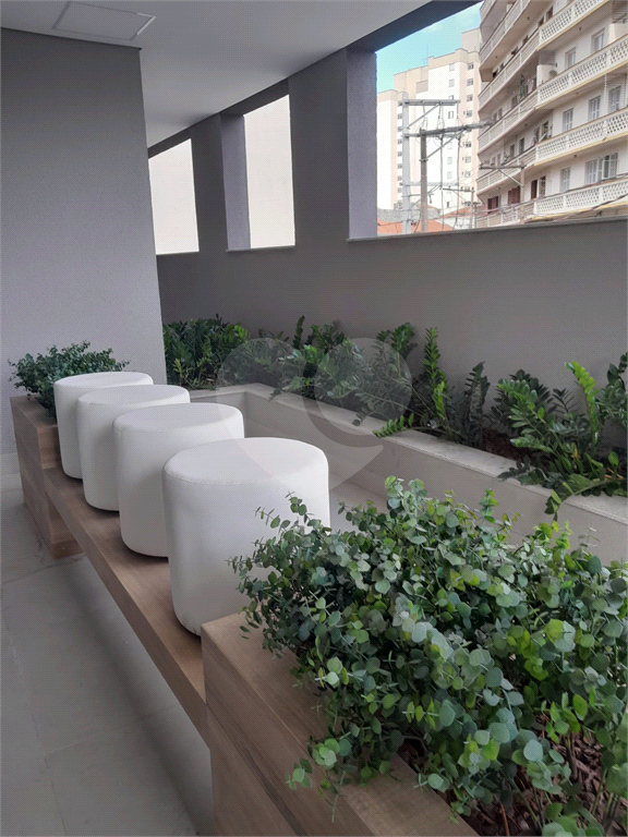 Studio no bairro Tucuruvi, com piscina 