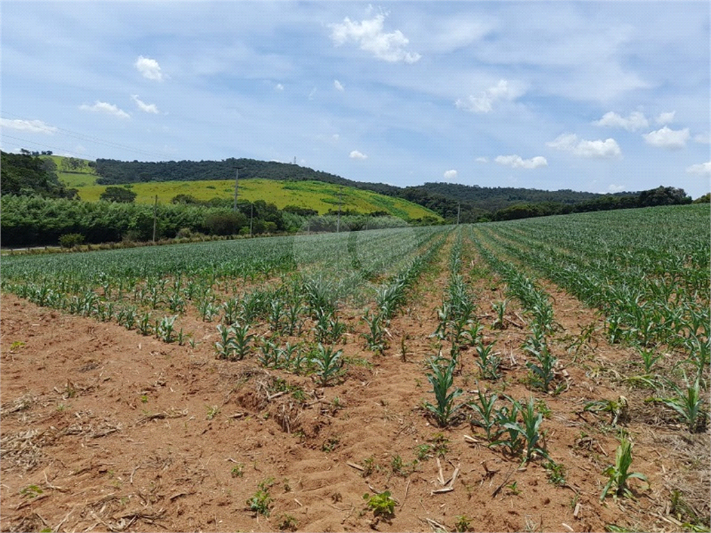 Terreno à venda, 143899m² - Foto 3