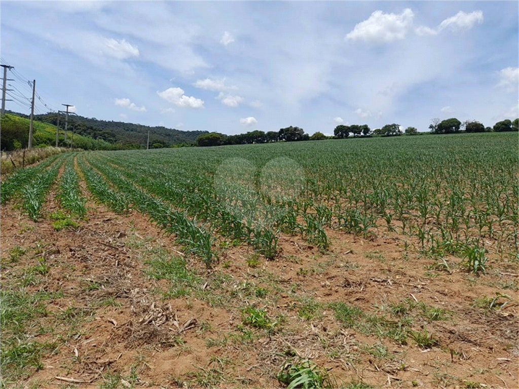 Terreno à venda, 143899m² - Foto 6