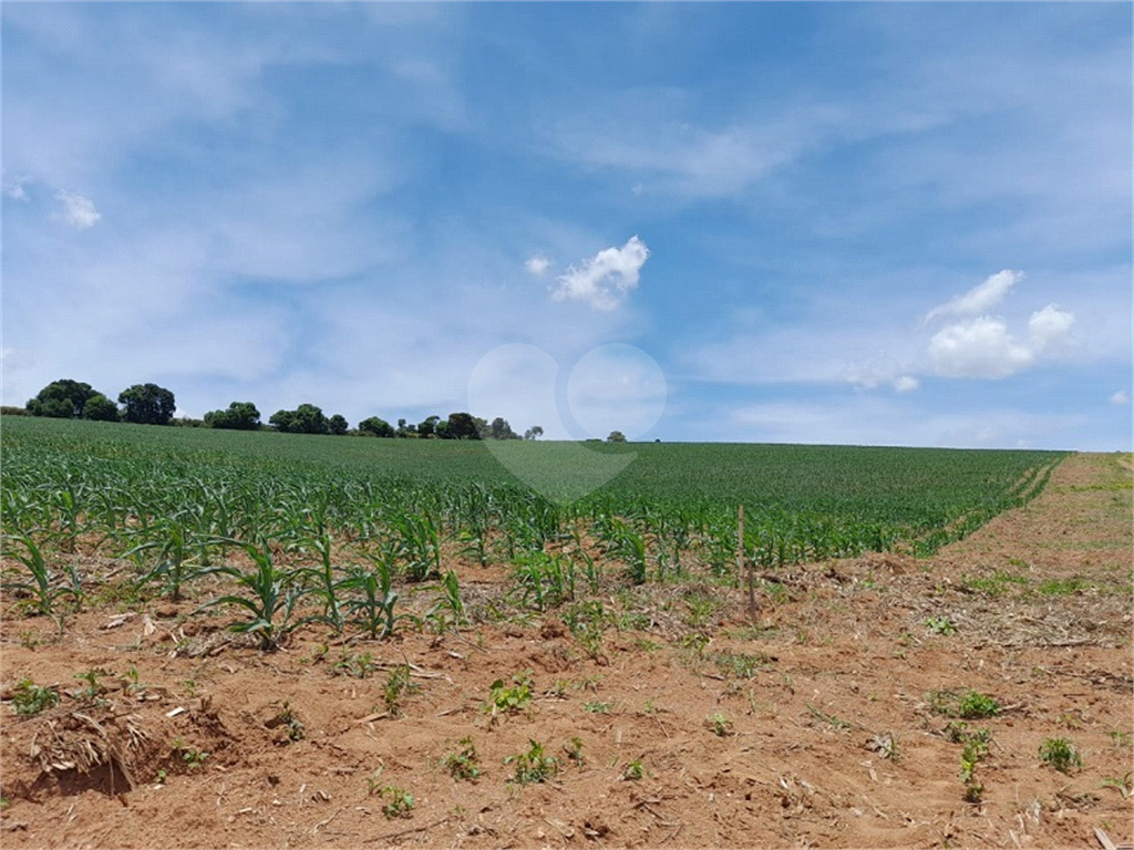 Terreno à venda, 143899m² - Foto 2