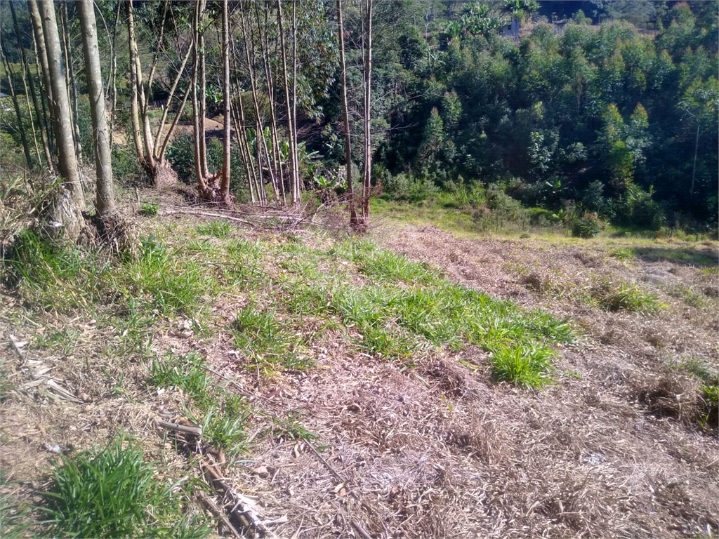 Terreno à venda, 1500m² - Foto 1