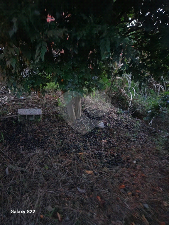 Terreno à venda, 519m² - Foto 7