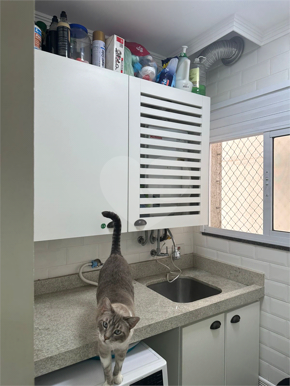 Apartamento no Mandaqui