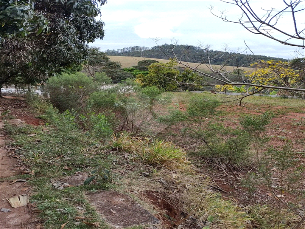 Terreno à venda, 1300m² - Foto 4