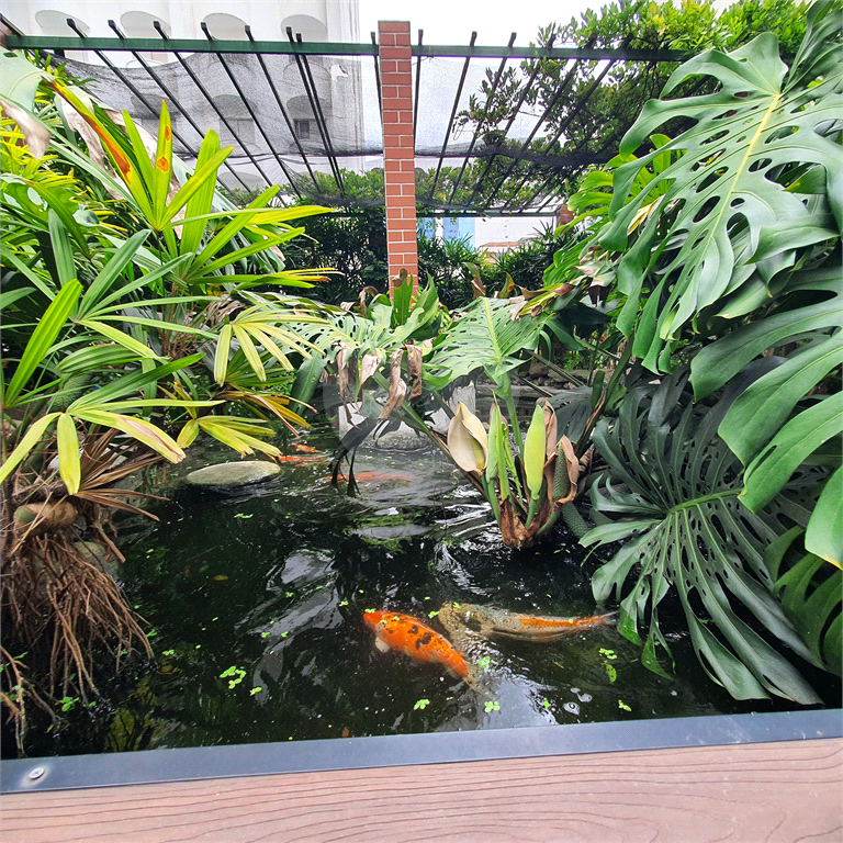 Kitnet 26m² com sala, quarto, cozinha em condomínio com piscina na Liberdade