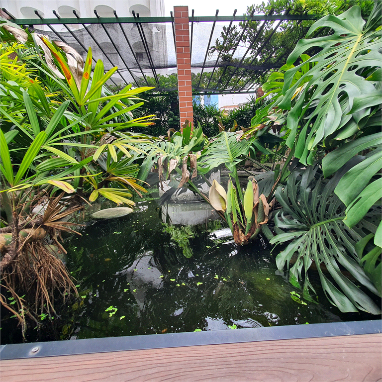 Kitnet 26m² com sala, quarto, cozinha em condomínio com piscina na Liberdade