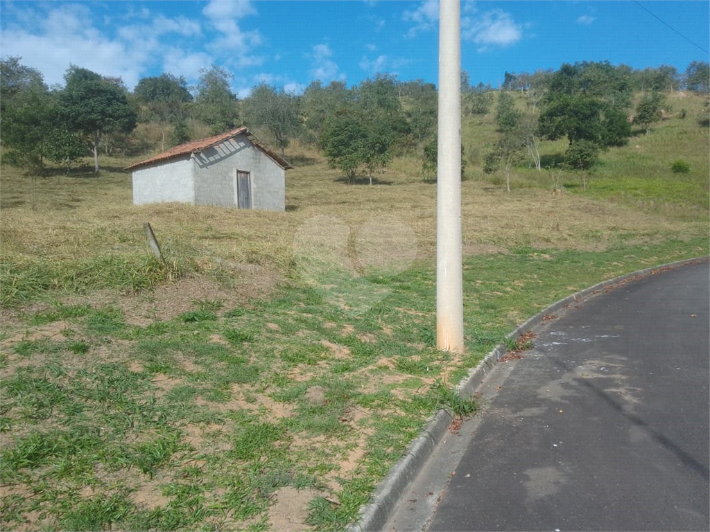 Terreno à venda, 5000m² - Foto 5