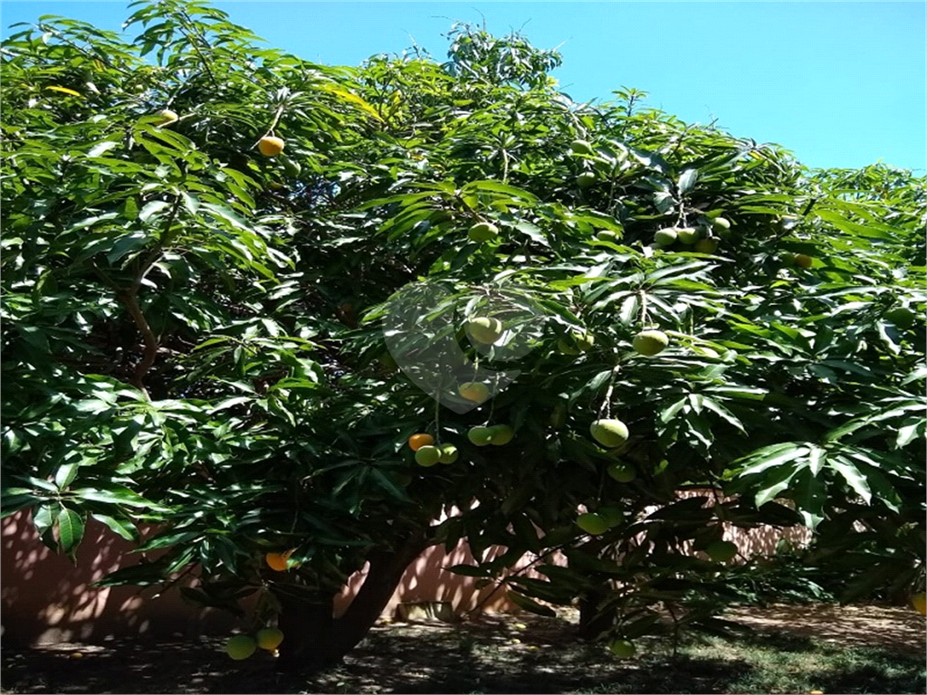 Fazenda à venda com 4 quartos, 400m² - Foto 41