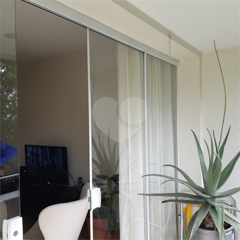 Apartamento em Santana com 03 dormitórios - SP