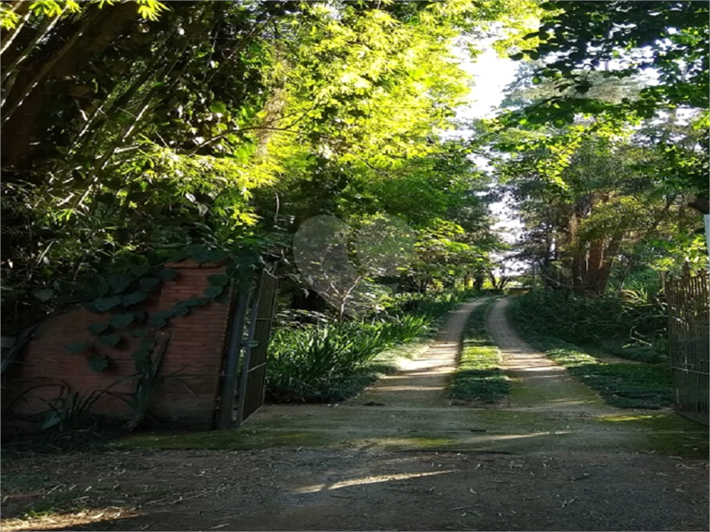 Fazenda à venda com 6 quartos, 36000m² - Foto 1