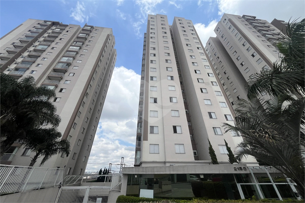 Apartamento com 2 dormitórios e 1 vaga