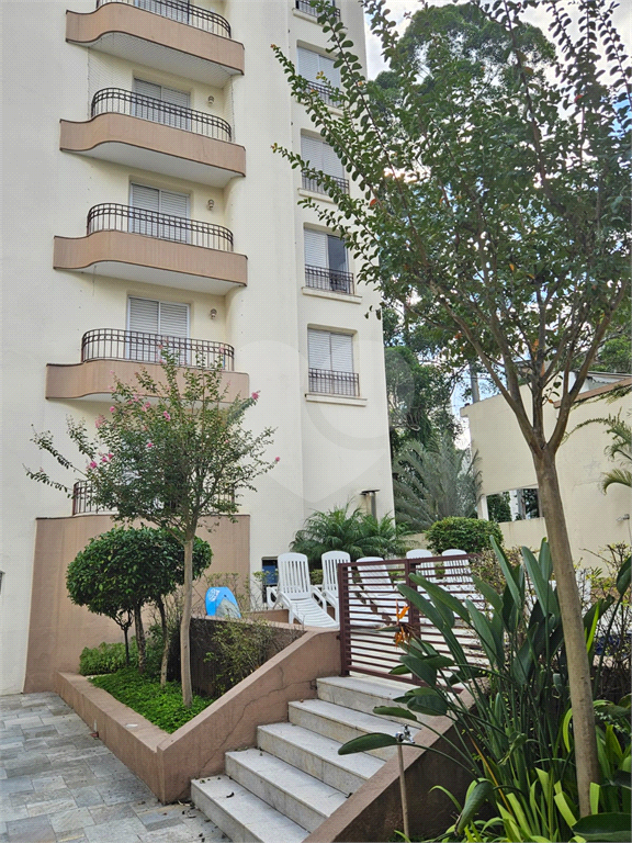APARTAMENTO em MORUMBI