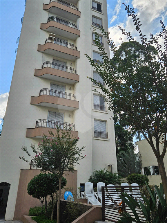 APARTAMENTO em MORUMBI