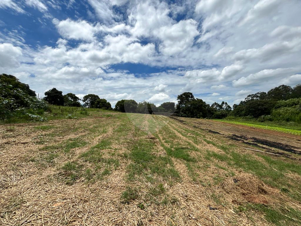 Terreno à venda, 10000m² - Foto 2