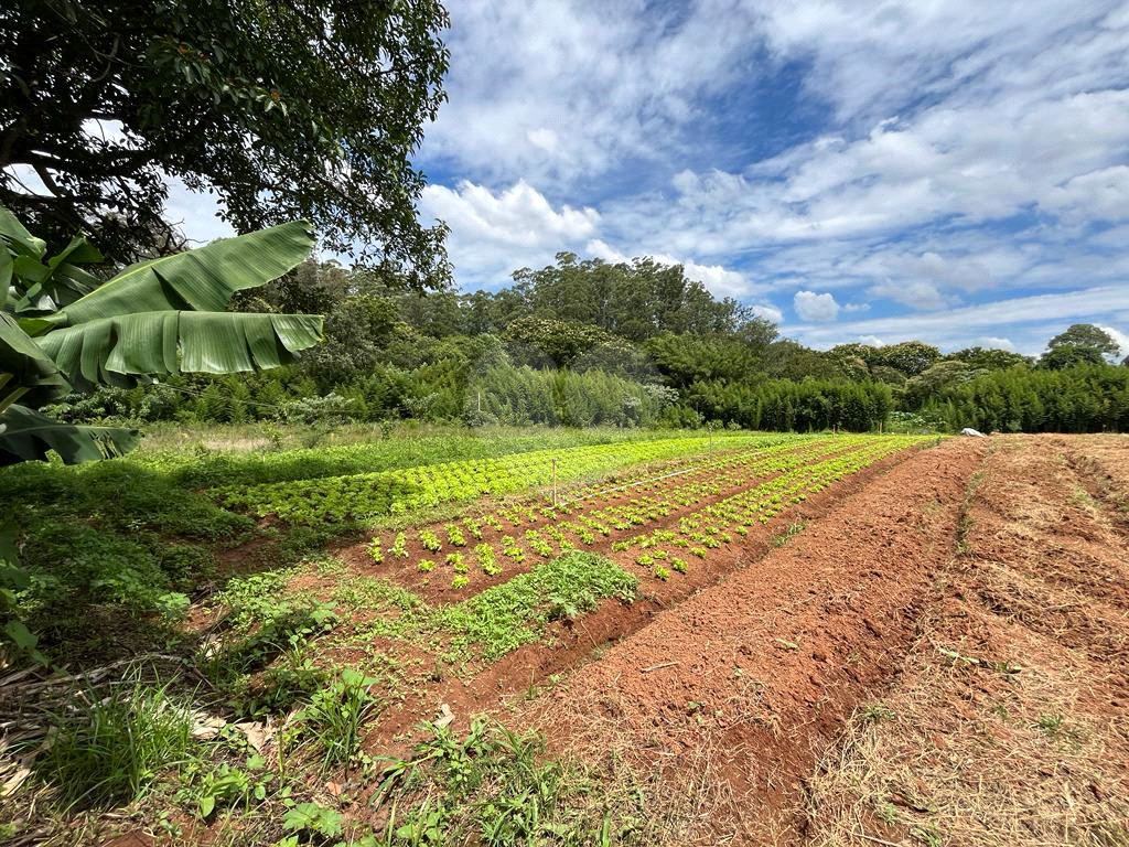 Terreno à venda, 10000m² - Foto 12