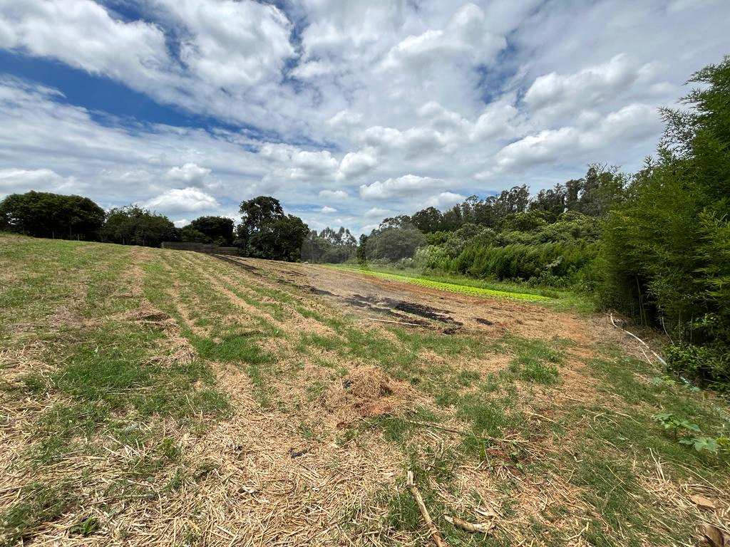 Terreno à venda, 10000m² - Foto 13