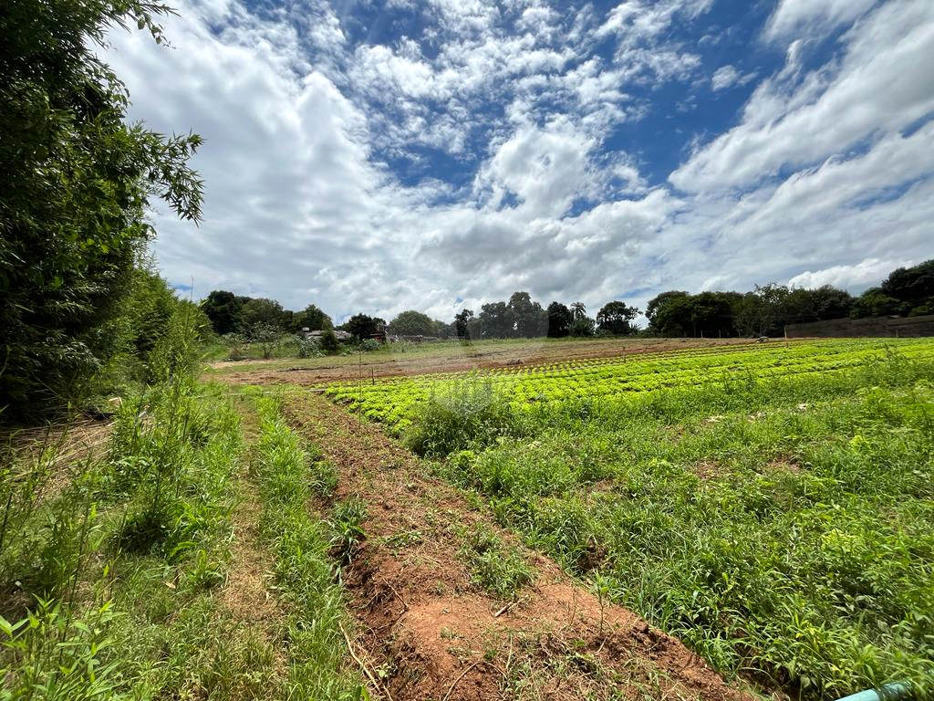 Terreno à venda, 10000m² - Foto 8