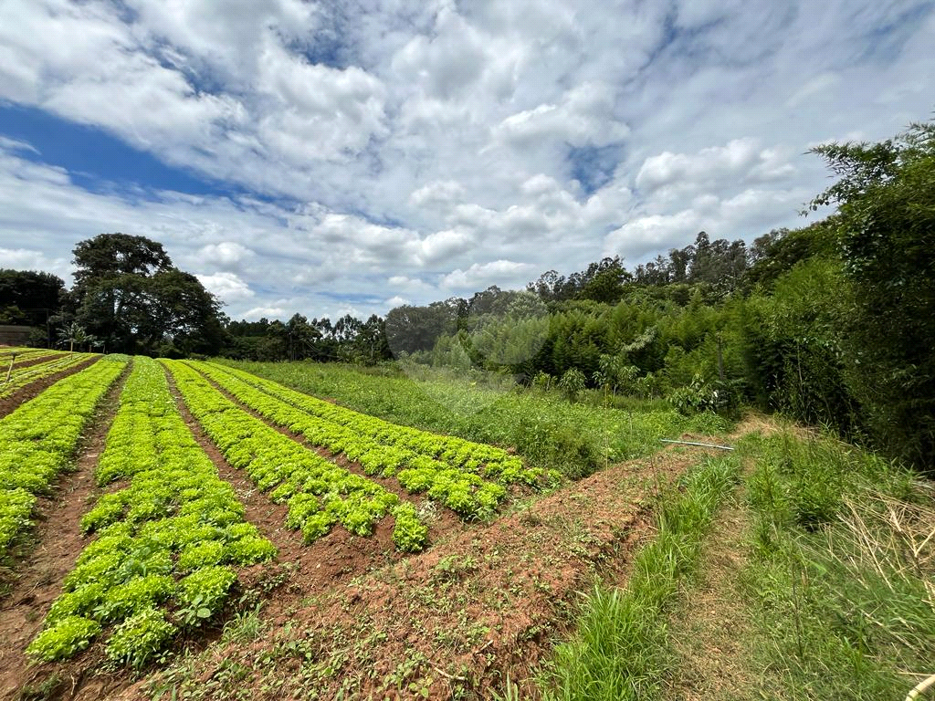Terreno à venda, 10000m² - Foto 4