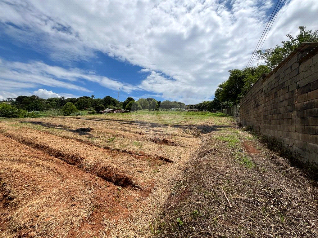 Terreno à venda, 10000m² - Foto 10