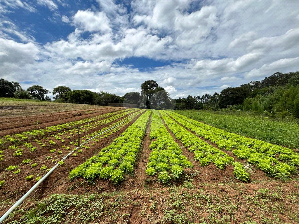 Terreno à venda, 10000m² - Foto 3