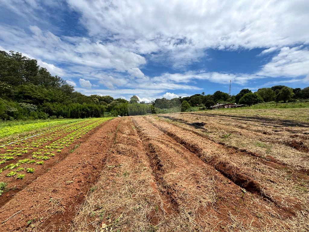 Terreno à venda, 10000m² - Foto 11