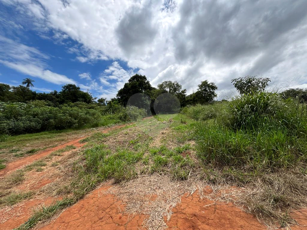 Terreno à venda, 10000m² - Foto 5