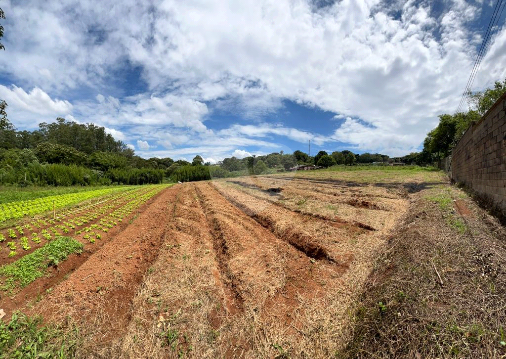 Terreno à venda, 10000m² - Foto 6