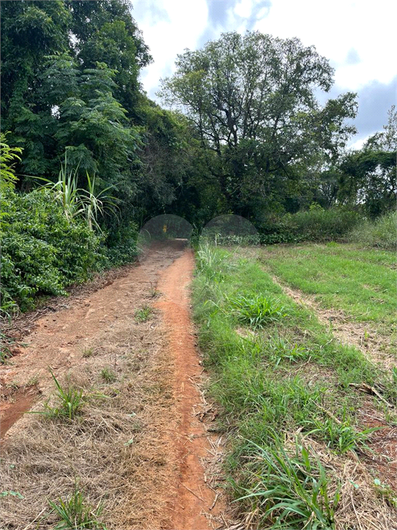 Terreno à venda, 10000m² - Foto 14