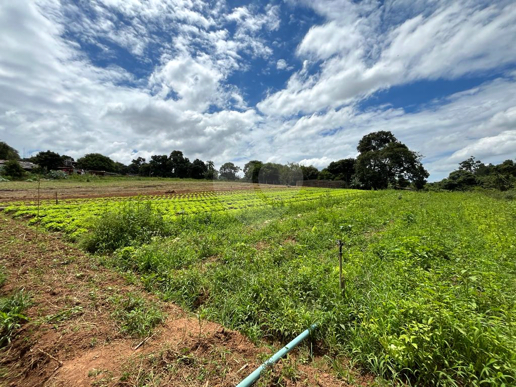 Terreno à venda, 10000m² - Foto 9