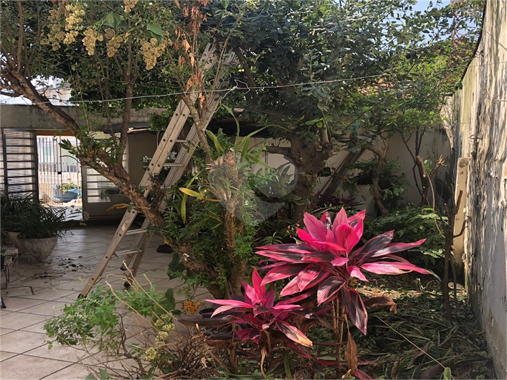 Sobrado p/Moradia ou empresa, amplas dependências 3 dorm.3 banh. 2 salas. Coz. Edicula, Quintal, etc