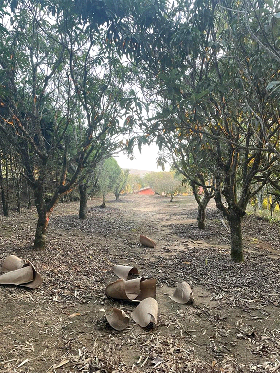 Chácara à venda com 2 quartos, 80m² - Foto 31