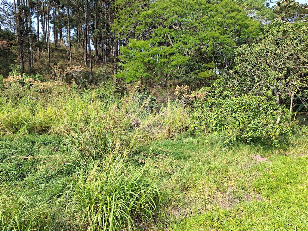 Terreno, 1162 m² - Foto 18