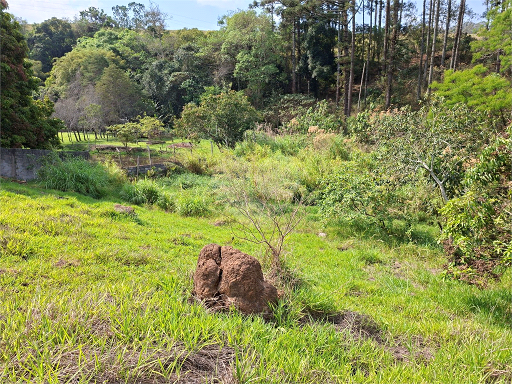 Terreno, 1162 m² - Foto 16