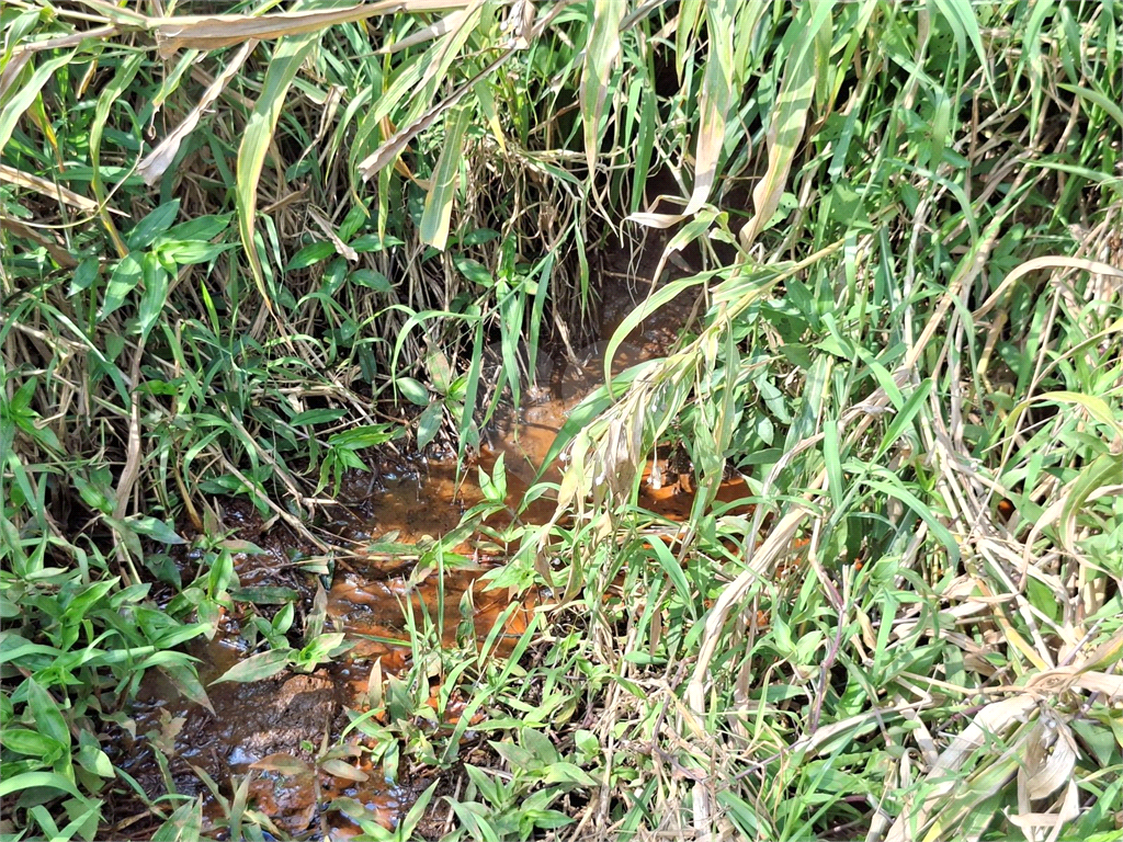 Terreno, 1162 m² - Foto 22