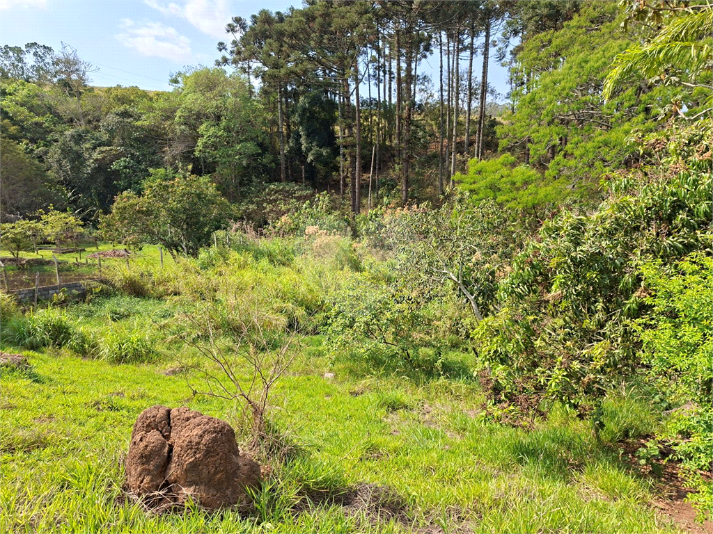 Terreno, 1162 m² - Foto 17