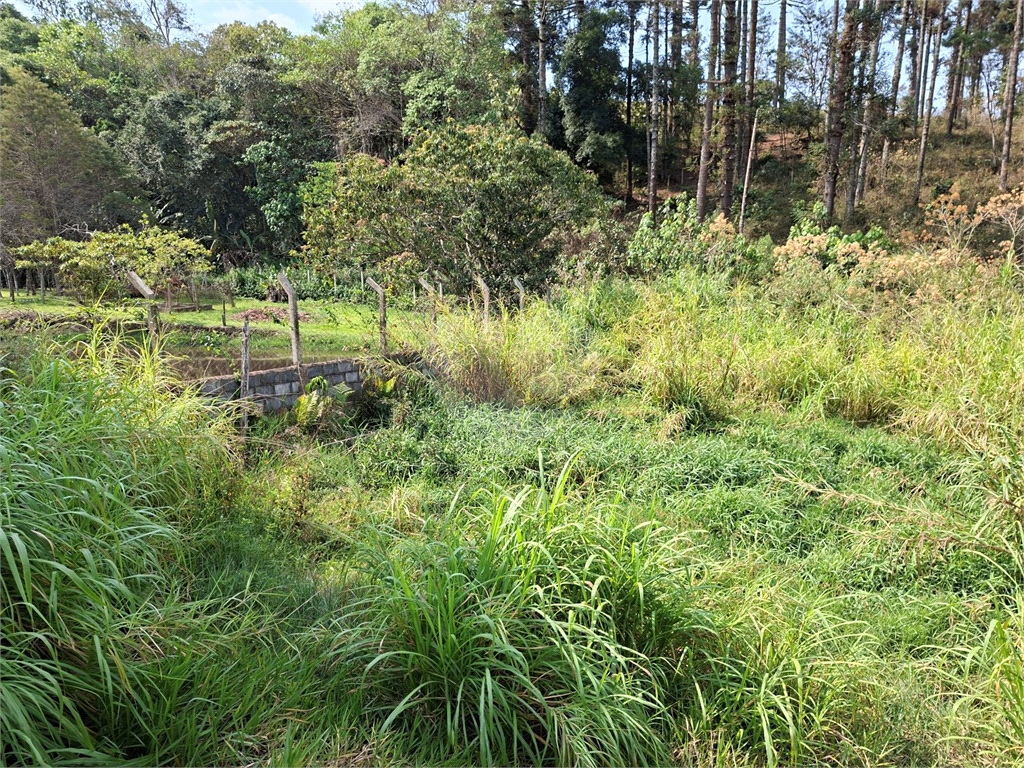 Terreno, 1162 m² - Foto 19