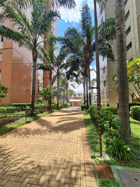 CAMBUCI - 3 DORMS COM 2 VAGAS 
