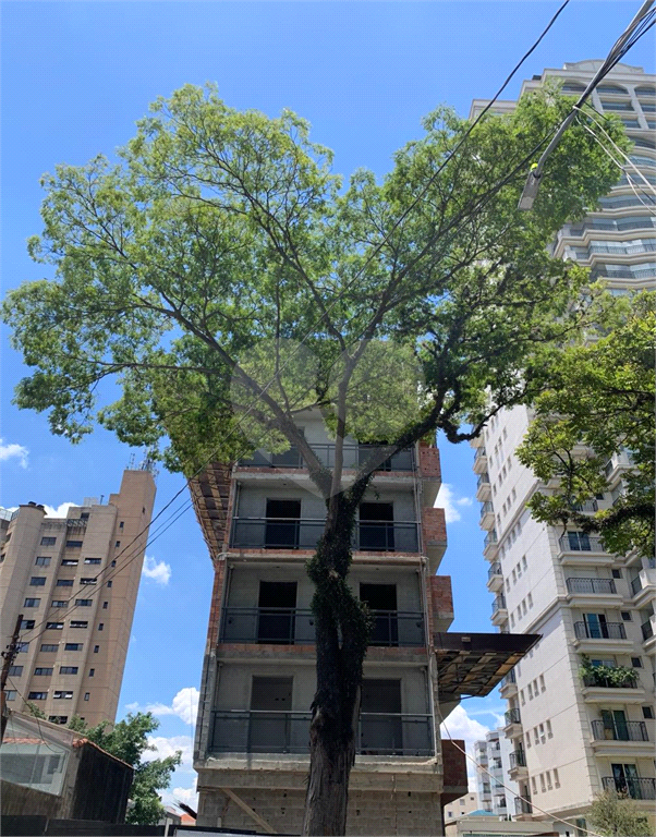 APARTAMENTO em SANTANA