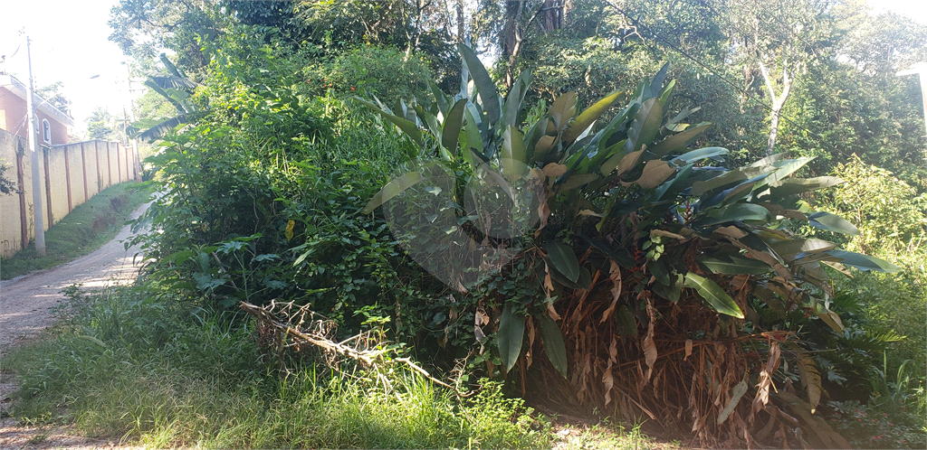 Casa de Condomínio à venda, 2000m² - Foto 12