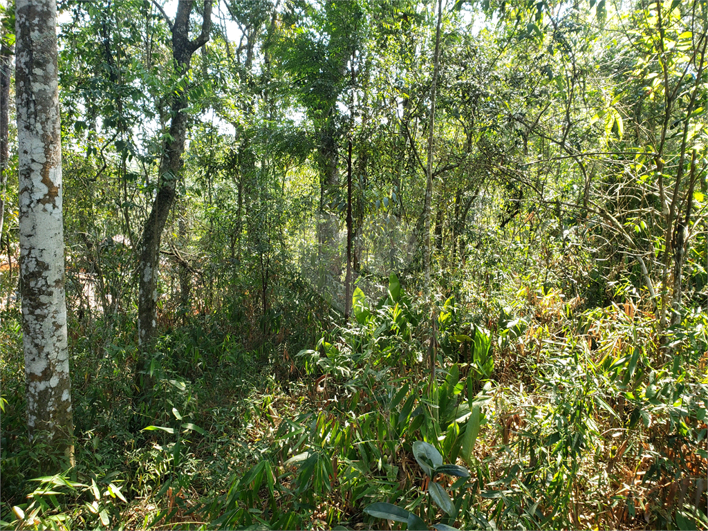 Casa de Condomínio à venda, 2000m² - Foto 1