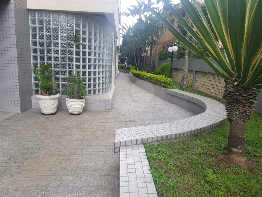 Apartamento 137 Metros 4 Dormitórios Alto de Santana
