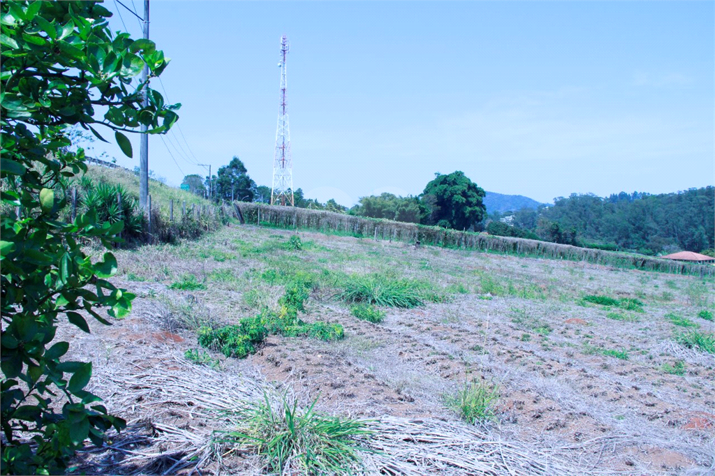 Fazenda à venda com 8 quartos, 38000m² - Foto 9