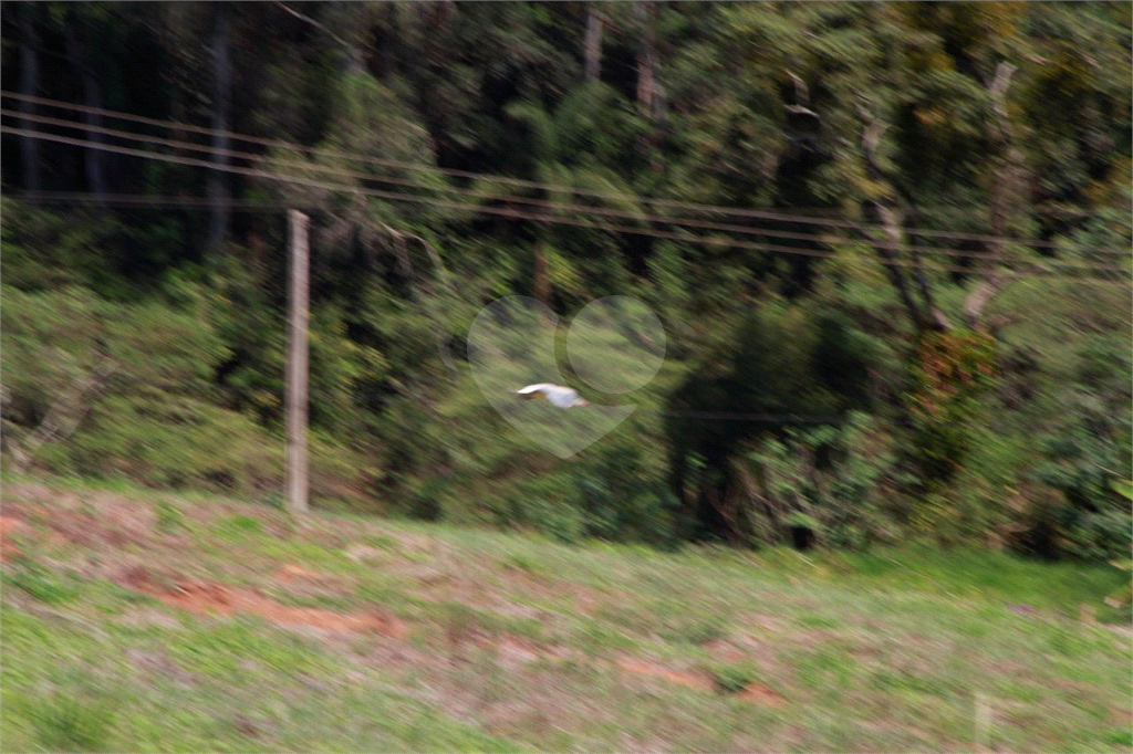 Fazenda à venda com 8 quartos, 38000m² - Foto 5