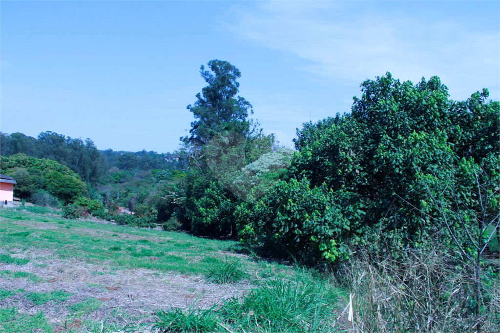 Fazenda à venda com 8 quartos, 38000m² - Foto 8