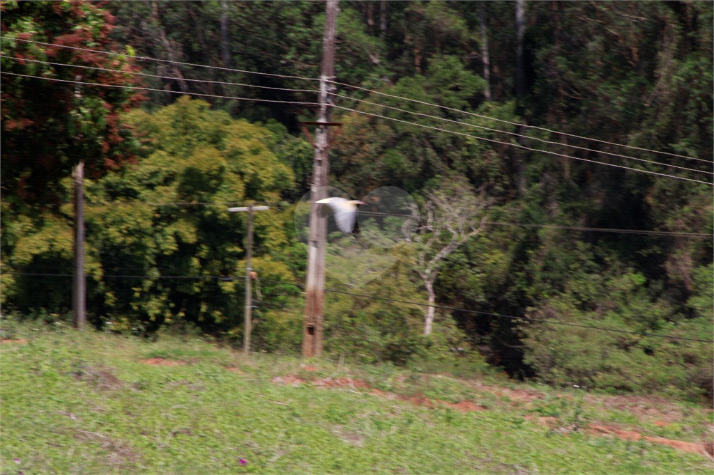 Fazenda à venda com 8 quartos, 38000m² - Foto 3