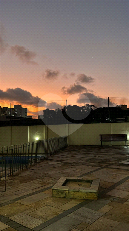 Apartamento no Cambuci (Ed. Condomínio Jardim Tropical)